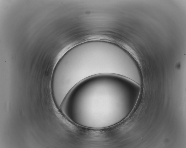 X0000090891330200707271030