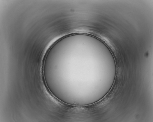 X0000090891331200707271030
