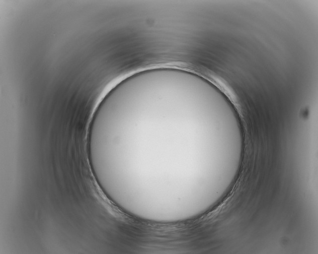 X0000090891332200707271030