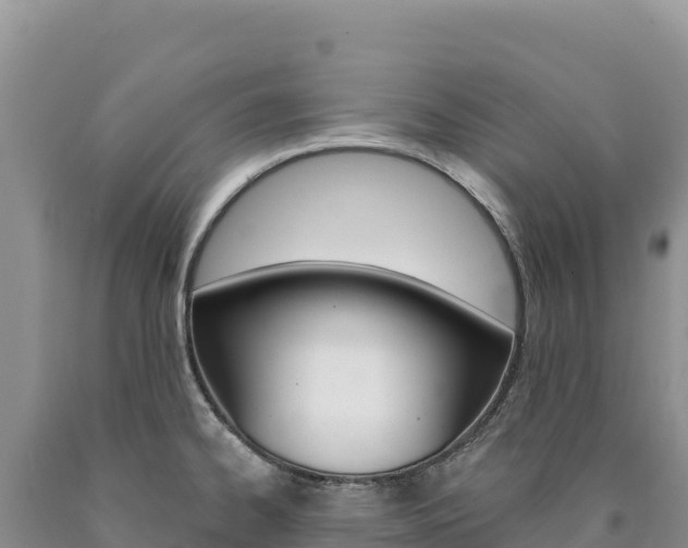 X0000090891334200707271030