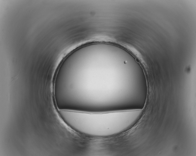 X0000090891335200707271030