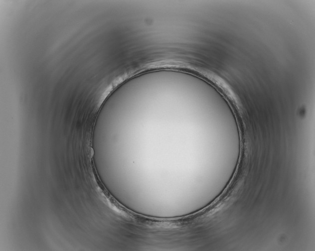 X0000090891337200707271030