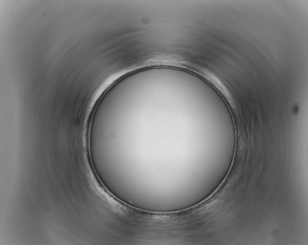 X0000090891339200707271030