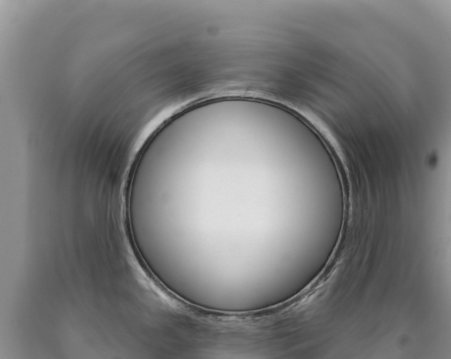 X0000090891341200707271030