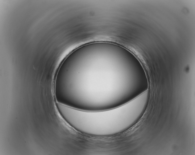 X0000090891342200707271030