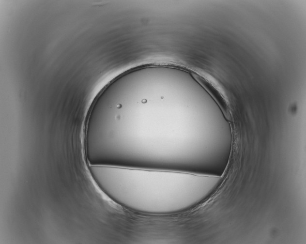 X0000090891343200707271030