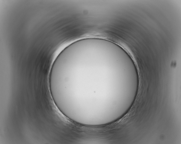 X0000090891344200707271030