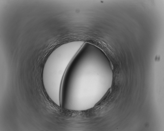 X0000090891345200707271030