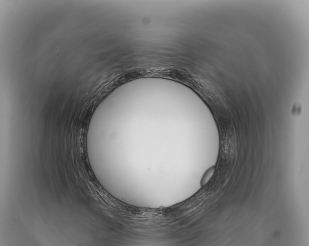 X0000090891346200707271030