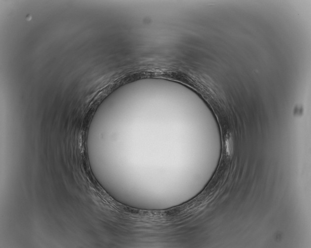 X0000090891347200707271030