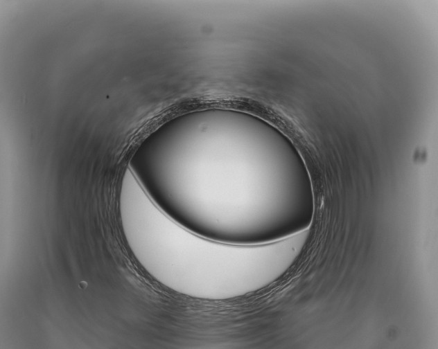 X0000090891348200707271030