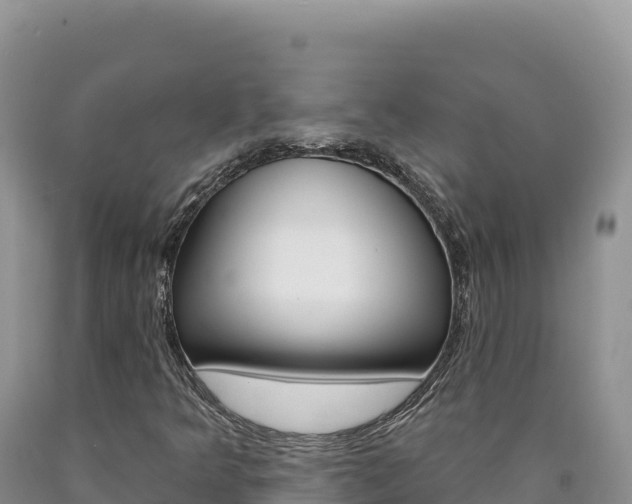 X0000090891349200707271030