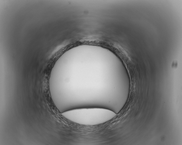X0000090891350200707271030