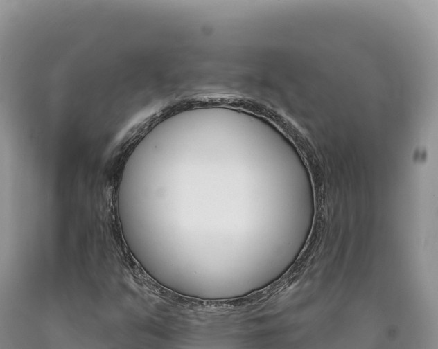 X0000090891351200707271030