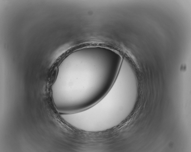 X0000090891352200707271030
