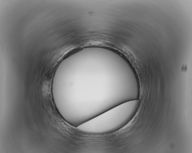 X0000090891353200707271030