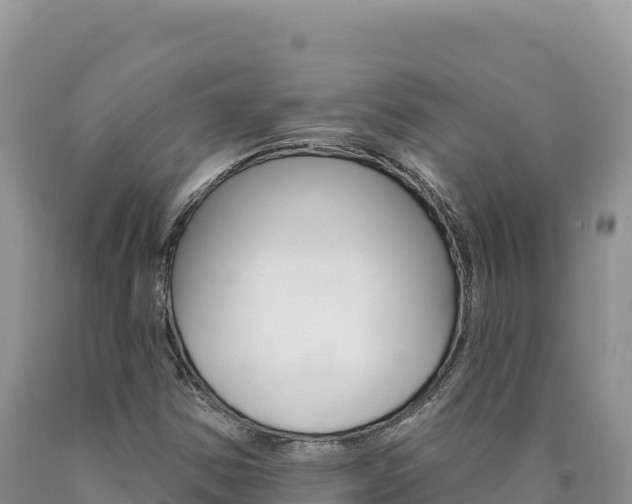 X0000090891354200707271030