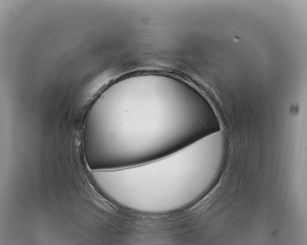 X0000090891355200707271030