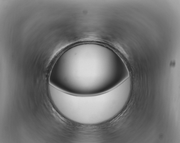 X0000090891356200707271030