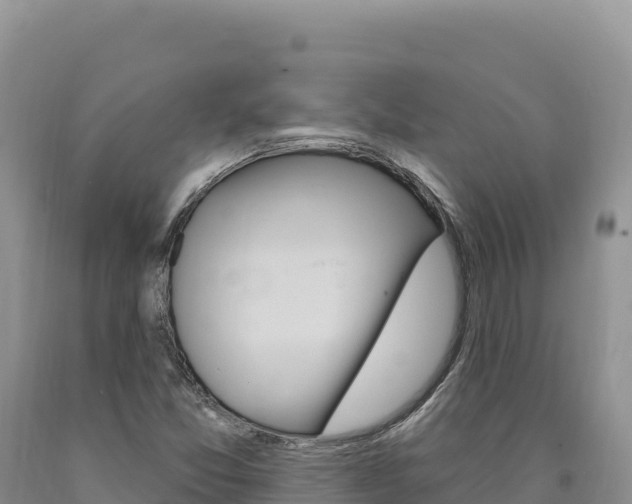 X0000090891357200707271030