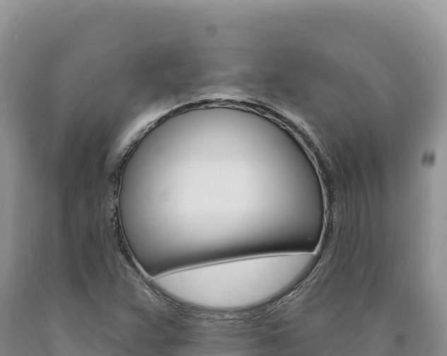 X0000090891359200707271029