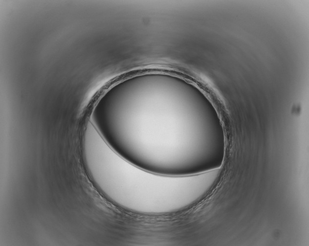 X0000090891360200707271029