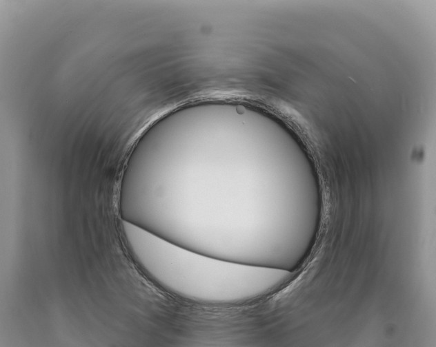 X0000090891361200707271029
