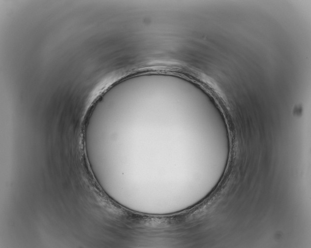 X0000090891362200707271029