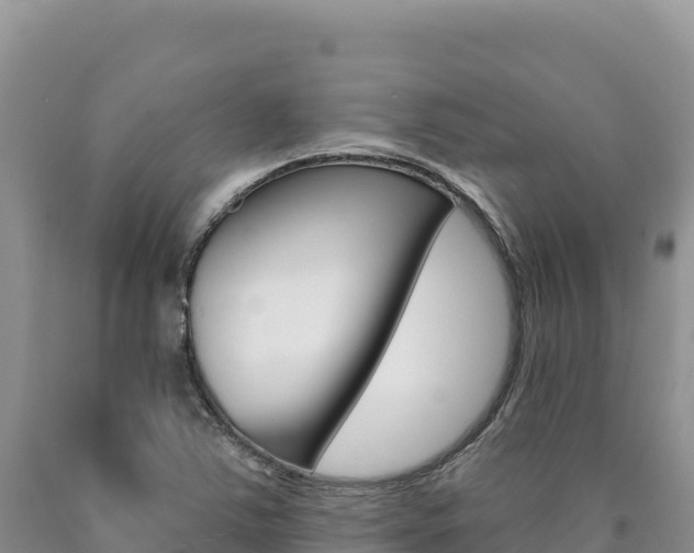 X0000090891363200707271029