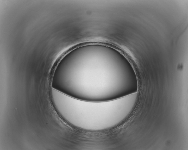 X0000090891364200707271029
