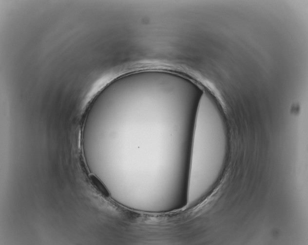 X0000090891365200707271029