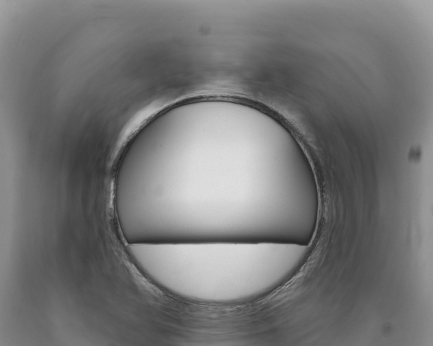 X0000090891366200707271029