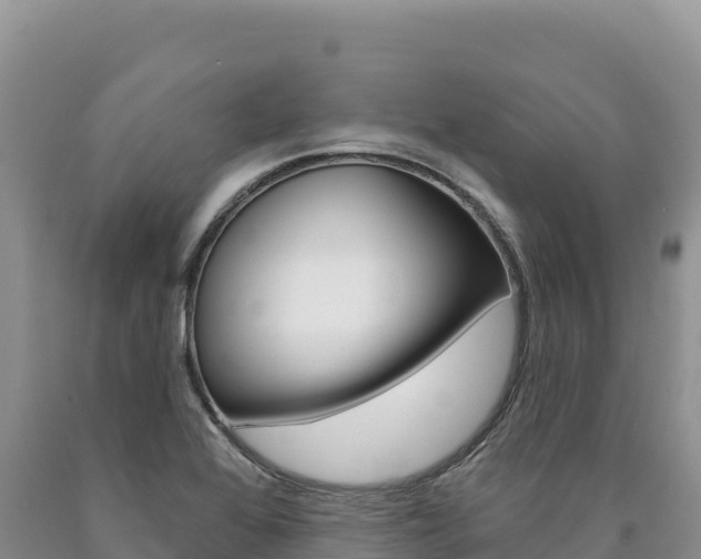 X0000090891368200707271029