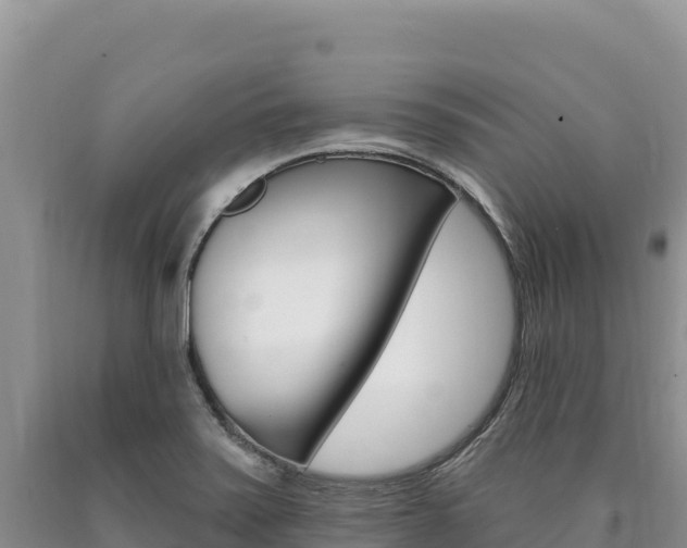 X0000090891371200707271029
