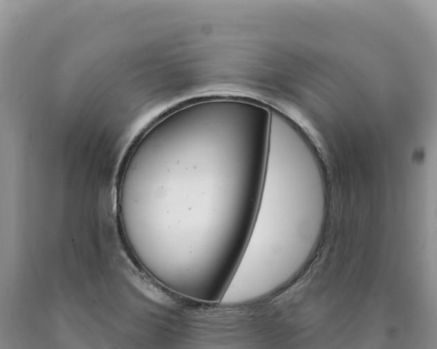 X0000090891372200707271029