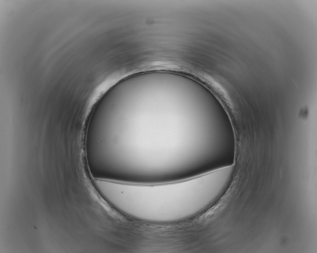 X0000090891373200707271029
