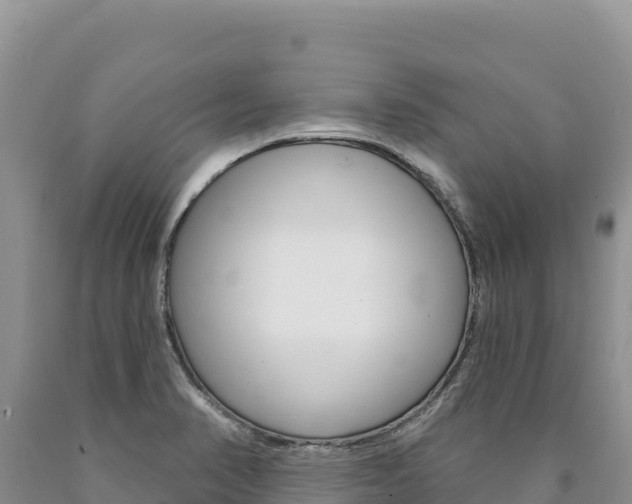 X0000090891374200707271029