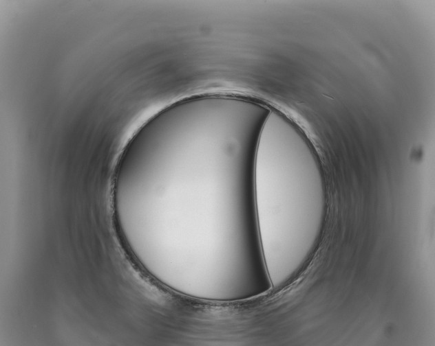X0000090891375200707271029