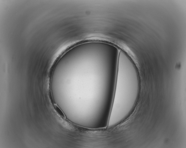 X0000090891376200707271029
