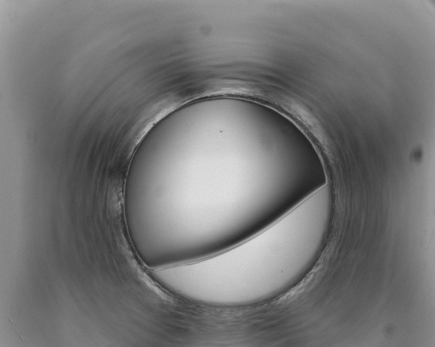 X0000090891377200707271029