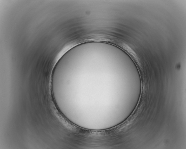 X0000090891378200707271029