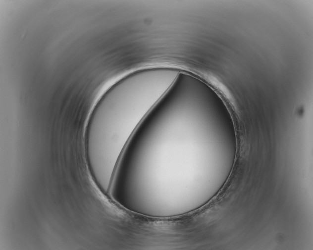 X0000090891380200707271029