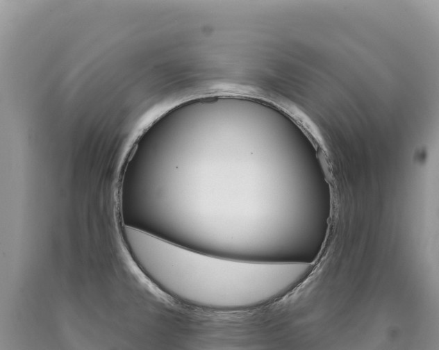 X0000090891381200707271029