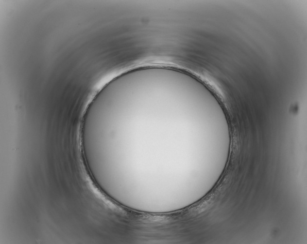 X0000090891382200707271029