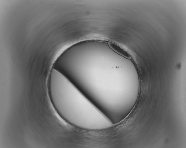 X0000090891383200707271029