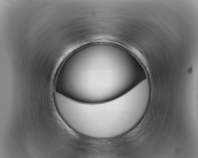 X0000090891384200707271029