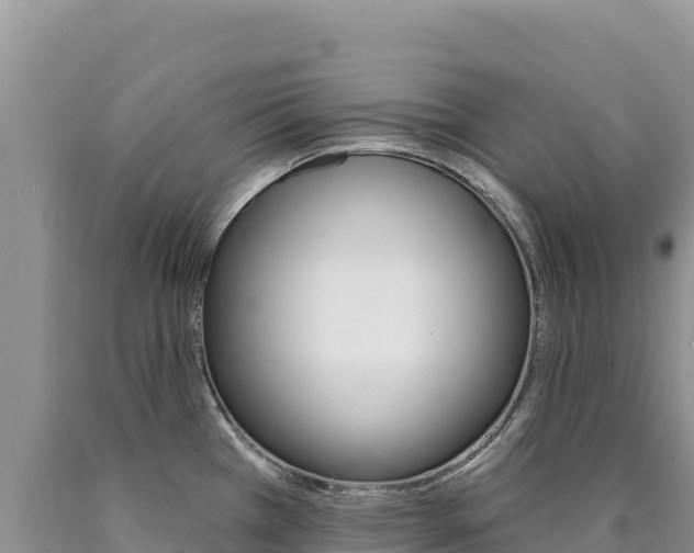 X0000090891385200707271029