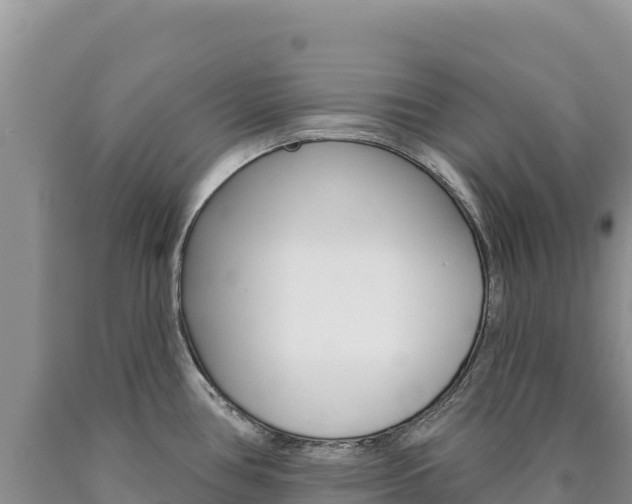 X0000090891386200707271029