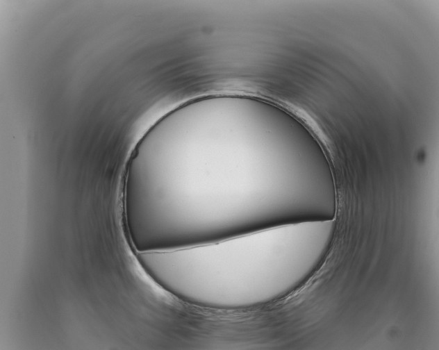 X0000090891387200707271029