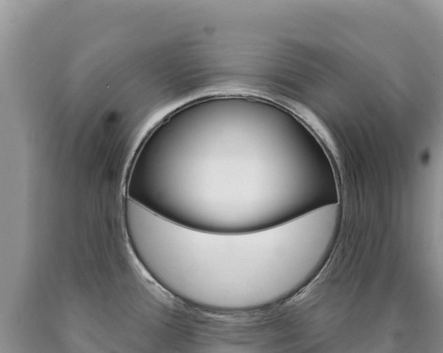 X0000090891388200707271029